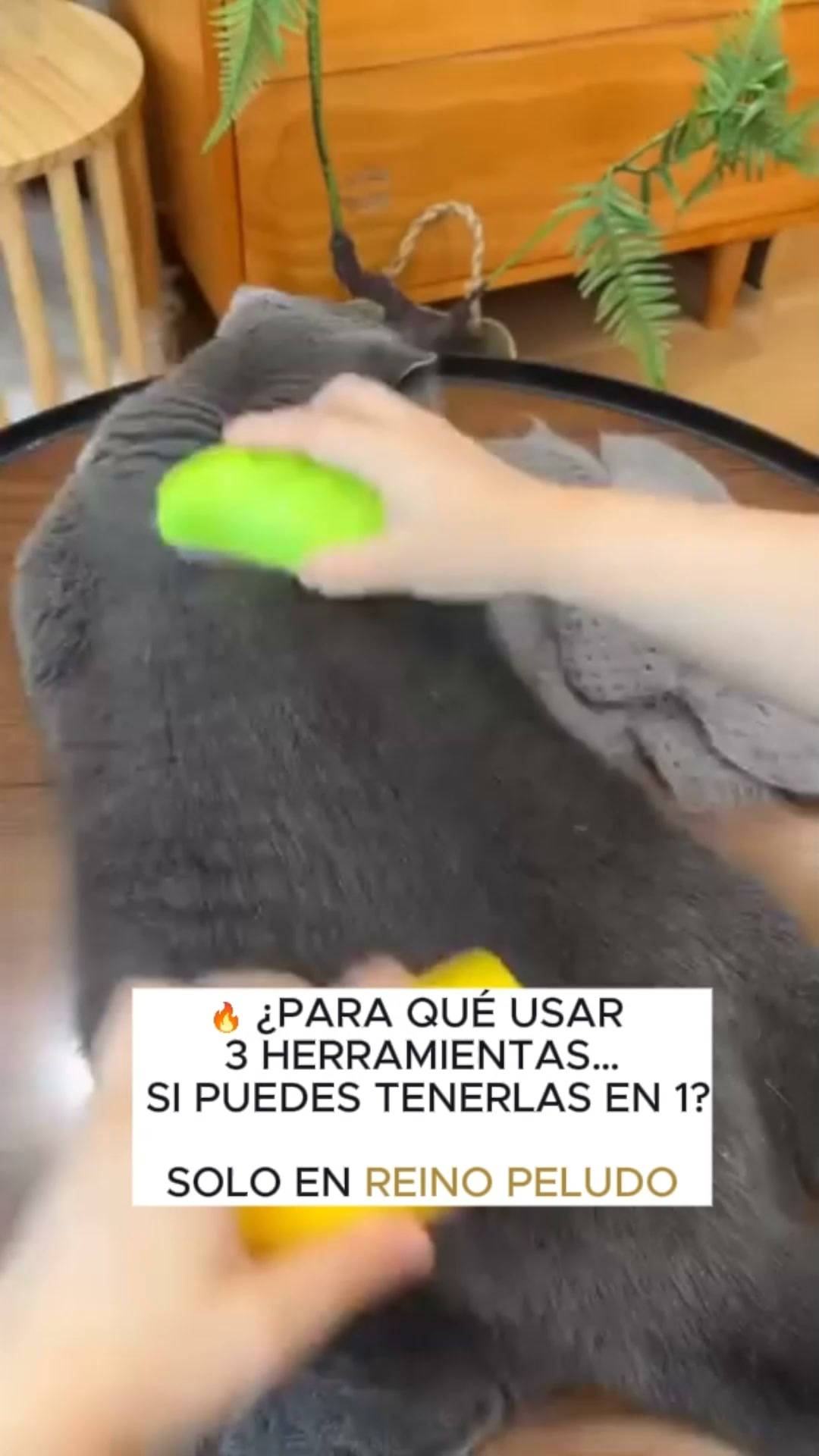 ENVÍO GRATIS 24/48h