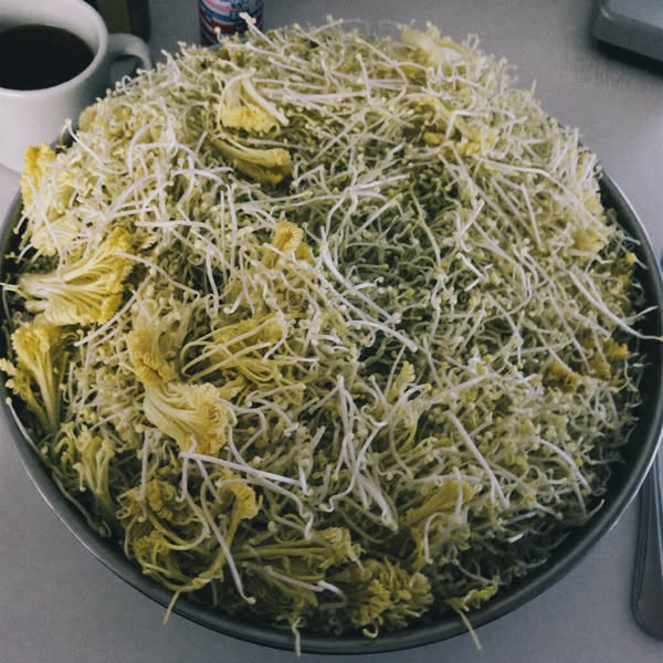 This is what 30mg of sulforaphane looks like as food