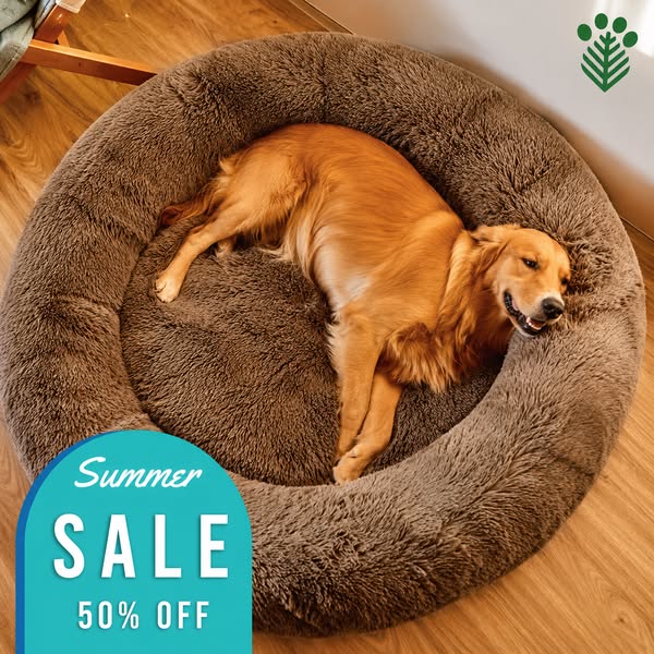 50% OFF NOW