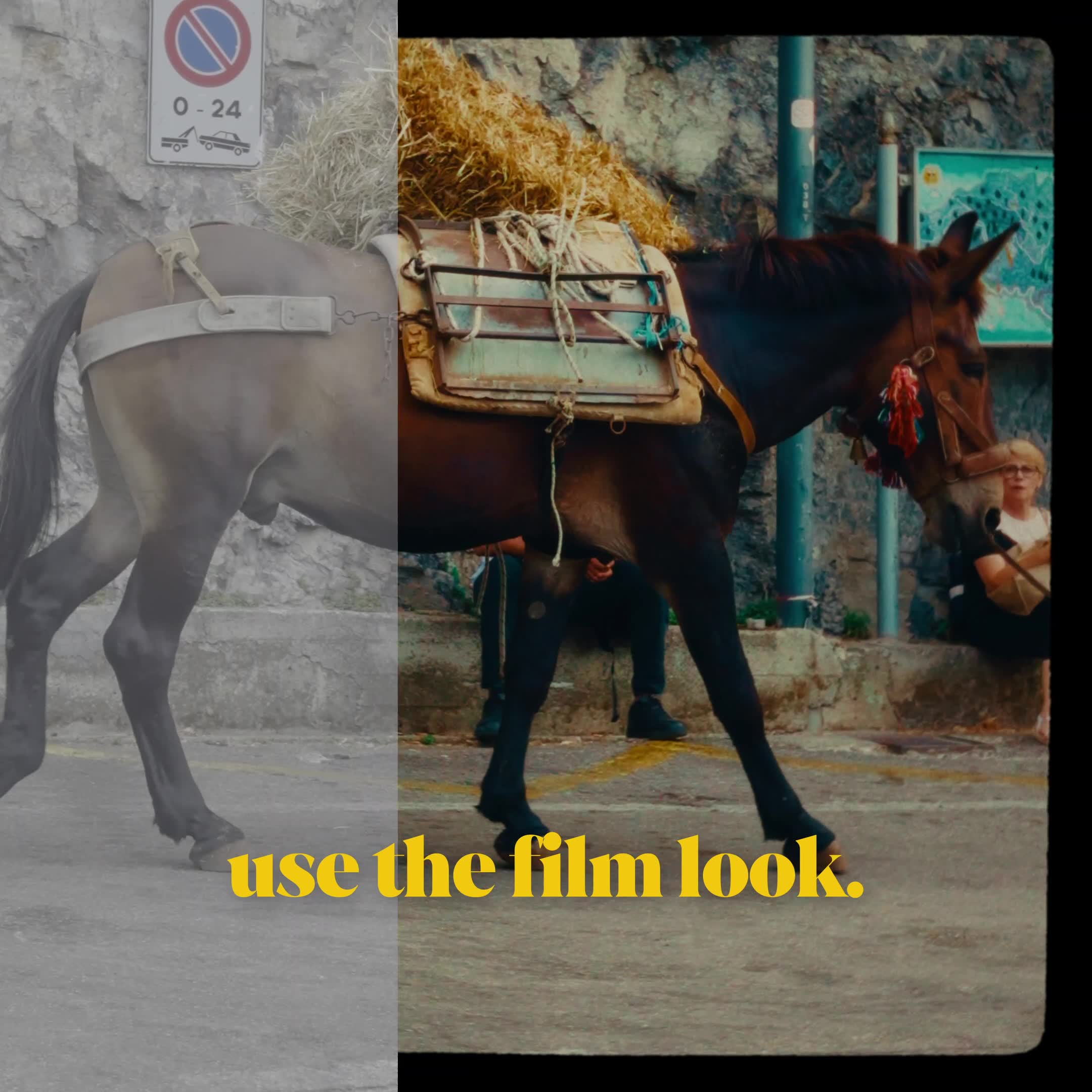 Turn your iPhone into a cinema camera today!