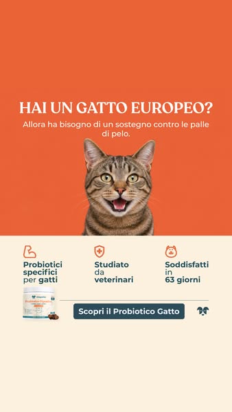 Aiuta il tuo gatto oggi