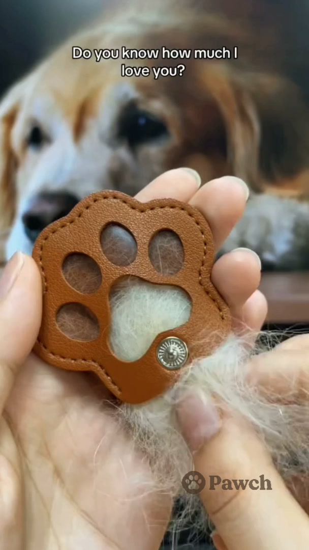 A DIY Keychain Made to Match Your Dog