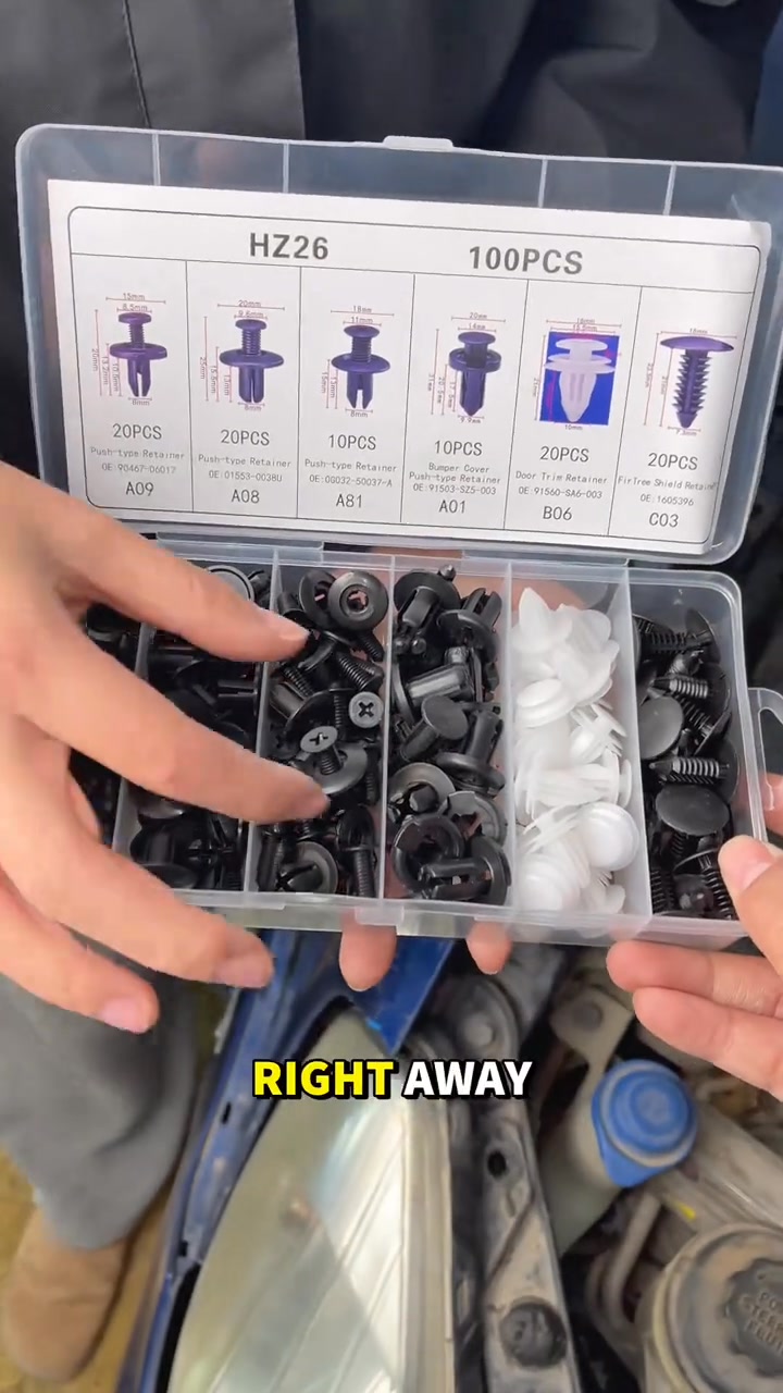 Expansion Screw Clips Set for Automobiles Mudguard Leaf Plates Door Panel Clips(100 PCS)
