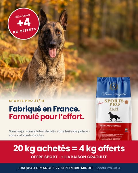 Formulé pour les chiens actifs