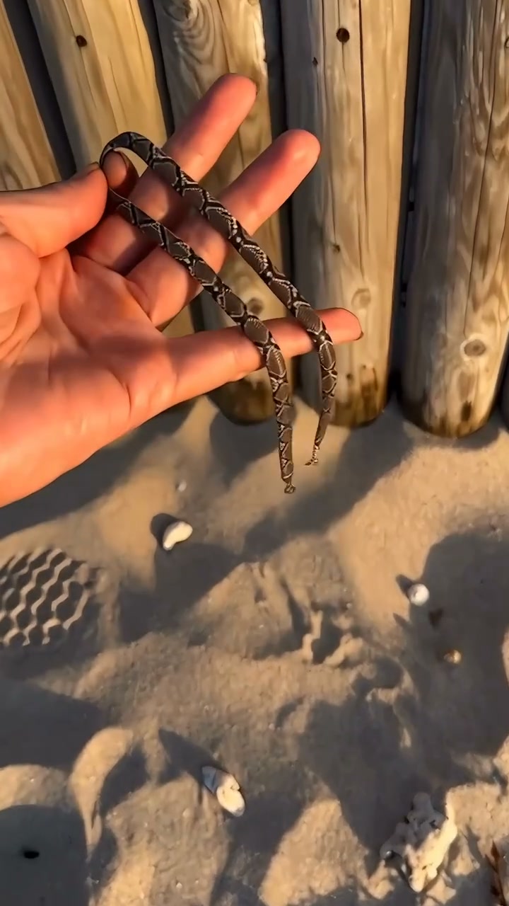The Necklace Everyone Will Notice