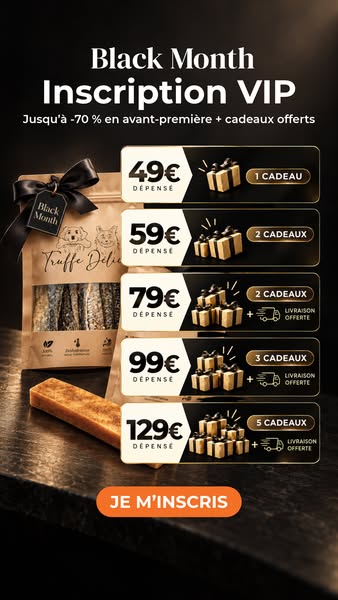 Black Month : accès VIP les 1er et 2 novembre