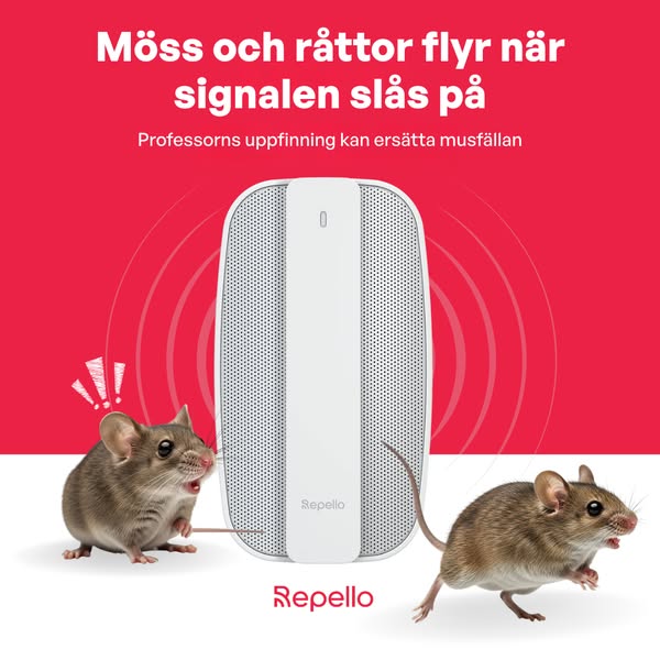 Svensk ljudteknik ska få möss och råttor att lämna – i stället för att fångas en efter en.