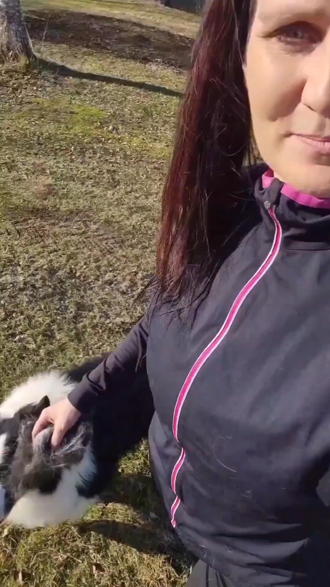 Harjaa, trimmaa ja imuroi irtokarvat