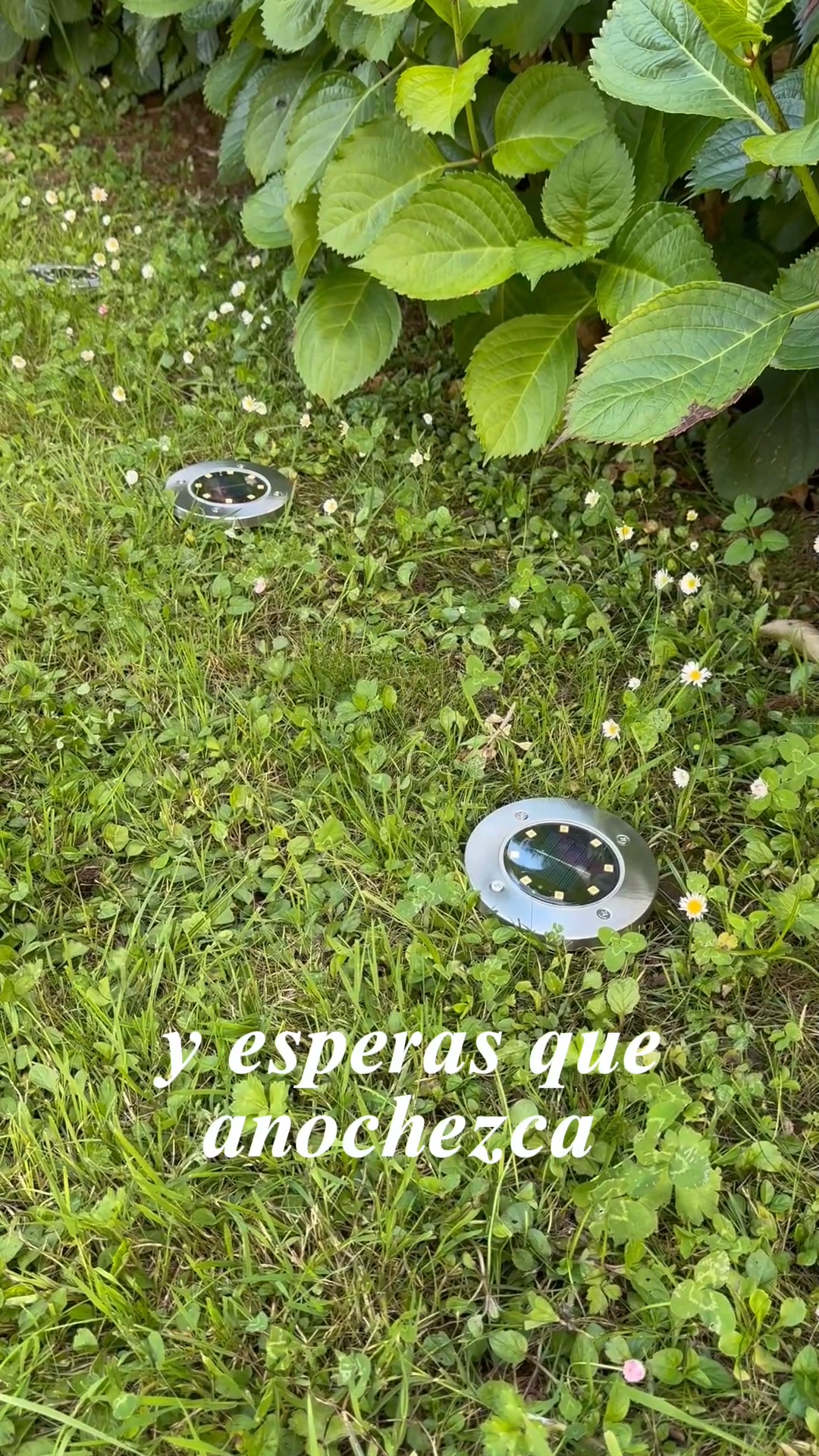 Luces LED para Jardín Exterior