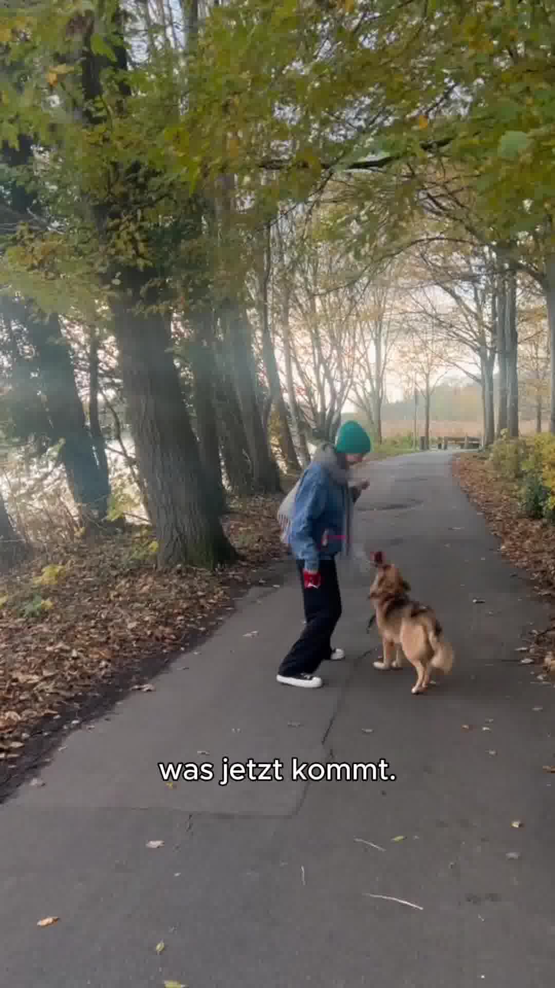 Mit Tierärzten sorgfältig entwickelt!