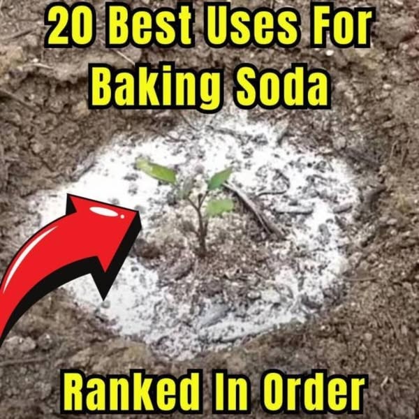 The 20 Best Uses For Baking Soda, Ranked In Order