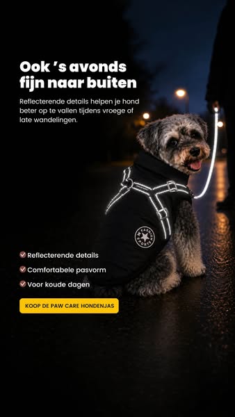 Gratis verzending in NL & BE + 14 dagen bedenktijd