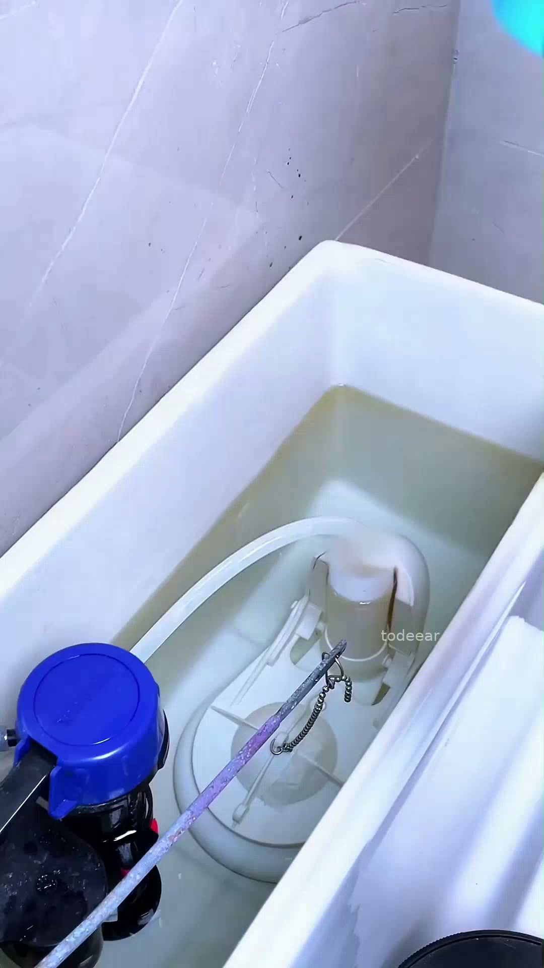 Anúncio de Todeear