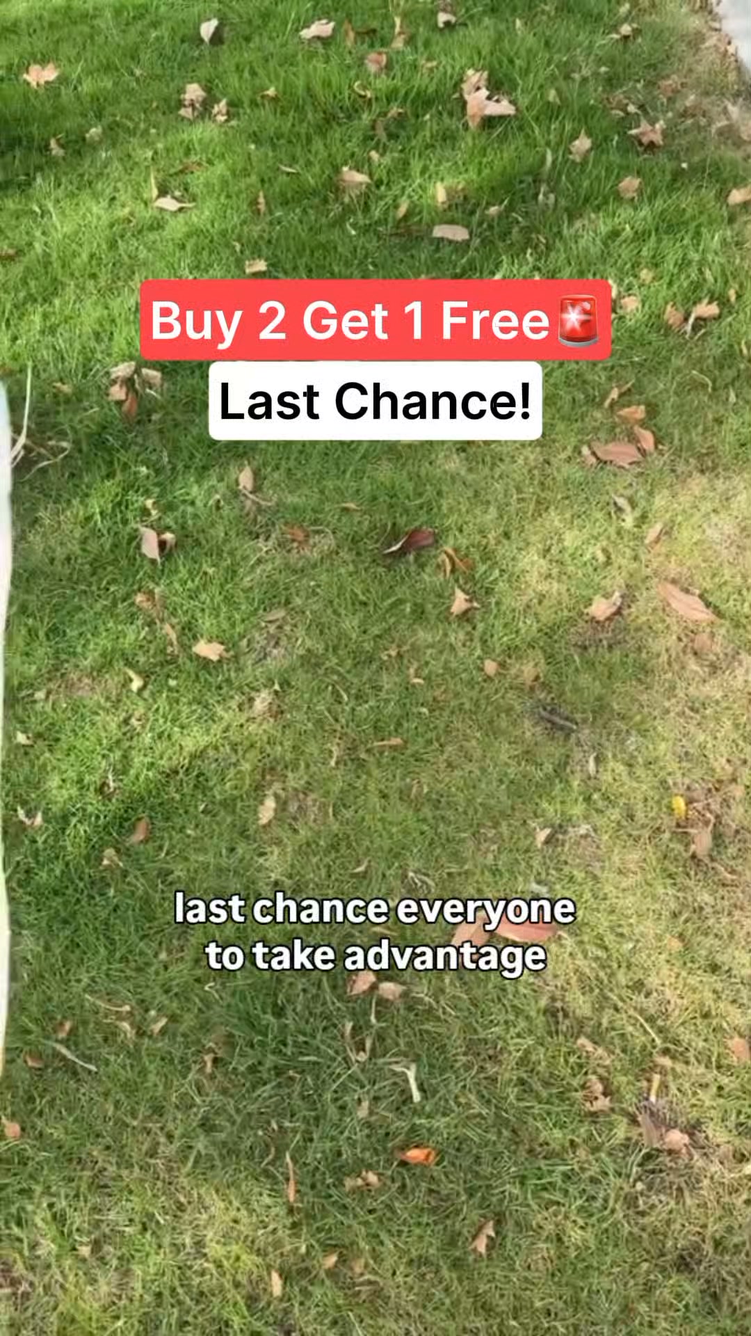 Buy 2 Get 1 Free Ends Tonight