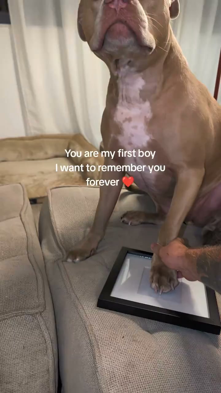 Save Their Little Paw Print!