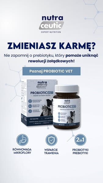 Lepsze trawienie Twojego pupila