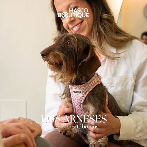 El arnés que buscabas para tu perrita