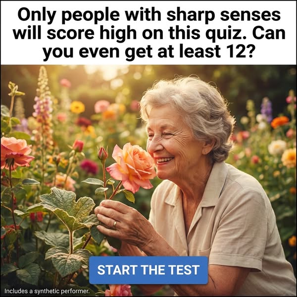 Human Senses And Perception Quiz