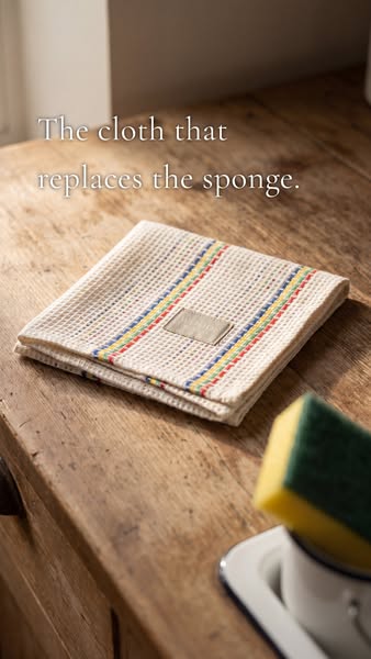 The cloth that replaces the sponge.