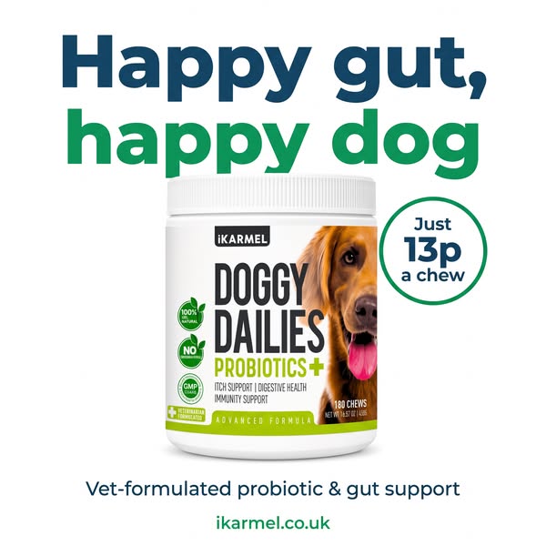Happy Gut, Happy Dog