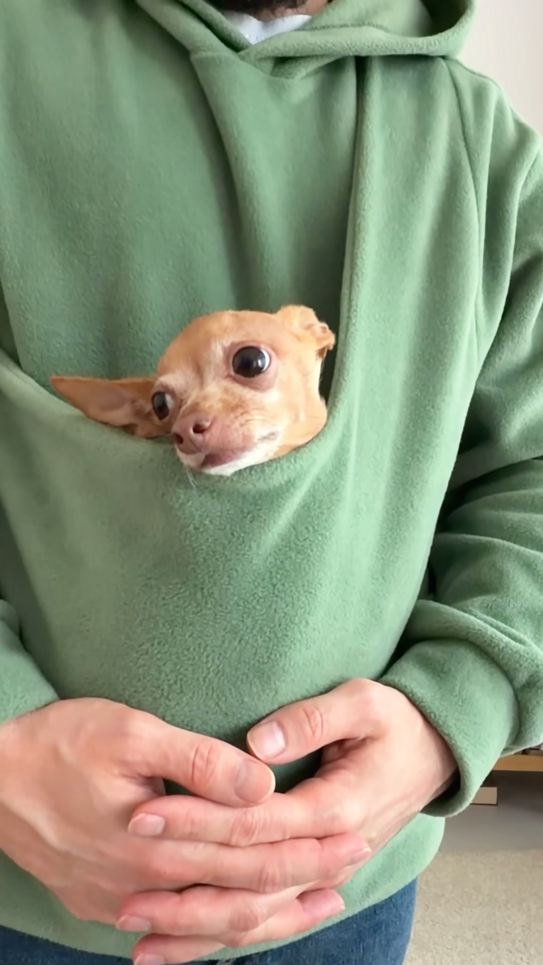 Warm & Cozy Dog Carrier for Tiny Paws
