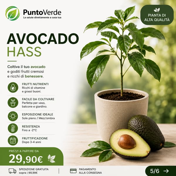 Anúncio de Punto Verde