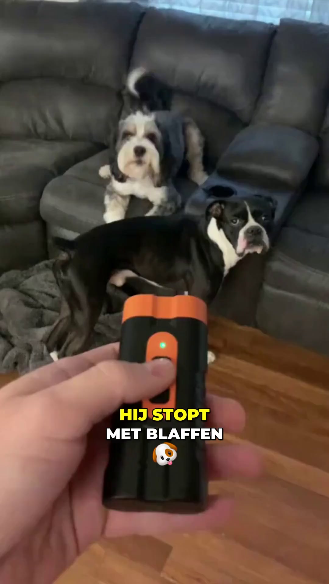 Een zachte manier om beter gedrag te ondersteunen
