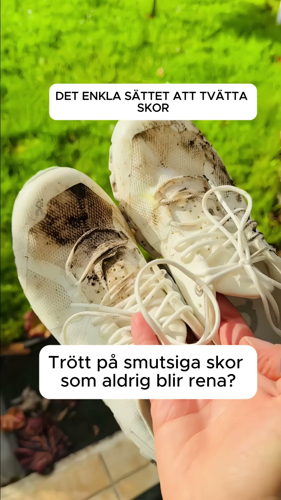 Skinande Rena På 30 Min