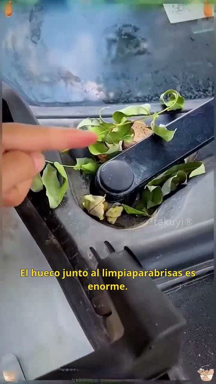 Anúncio de Takuyi gift