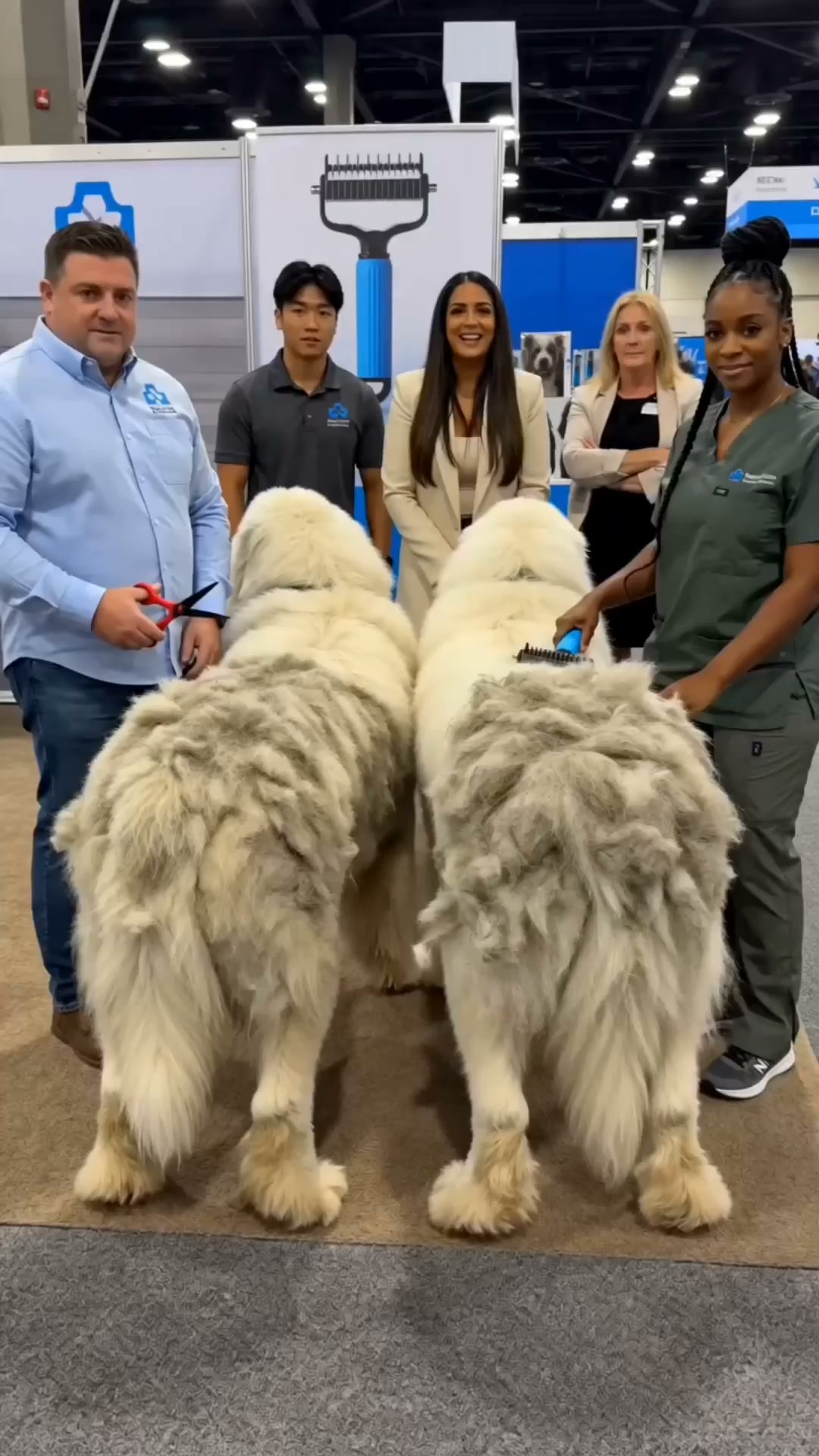 Care Shows In Every Stroke