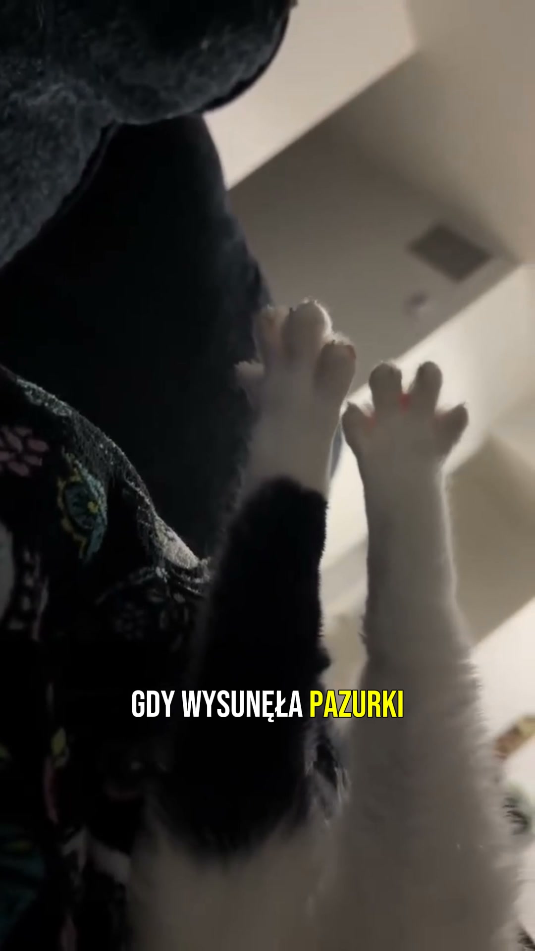 1000+ klientów