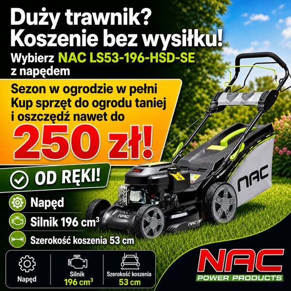 Koś taniej do 250 zł