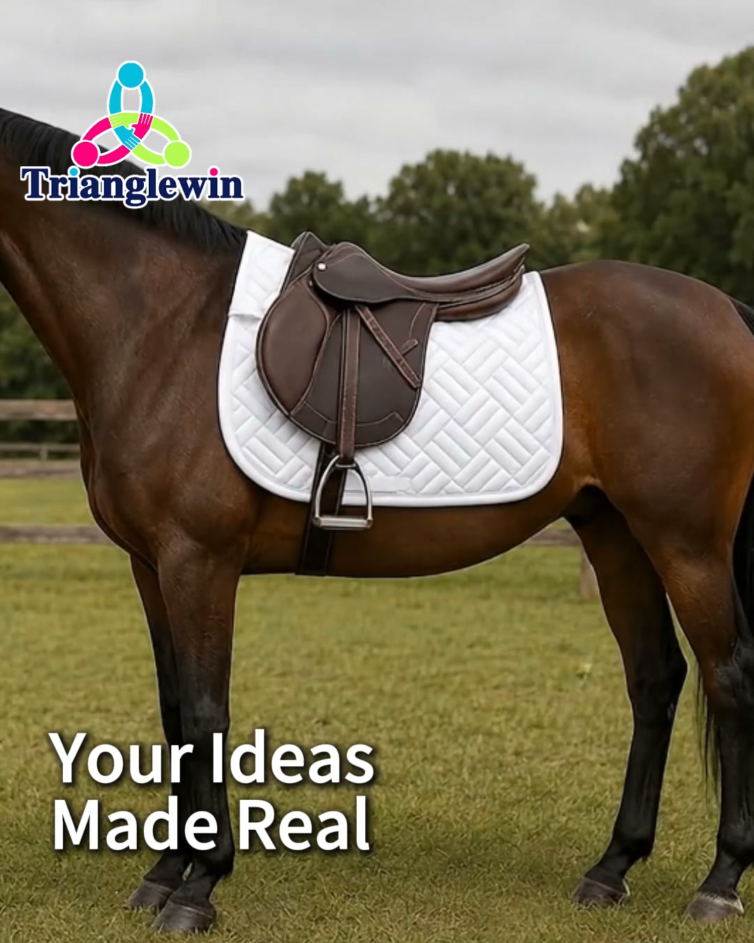 Horse Rug Manufacturer OEM Private Label Custom Orders