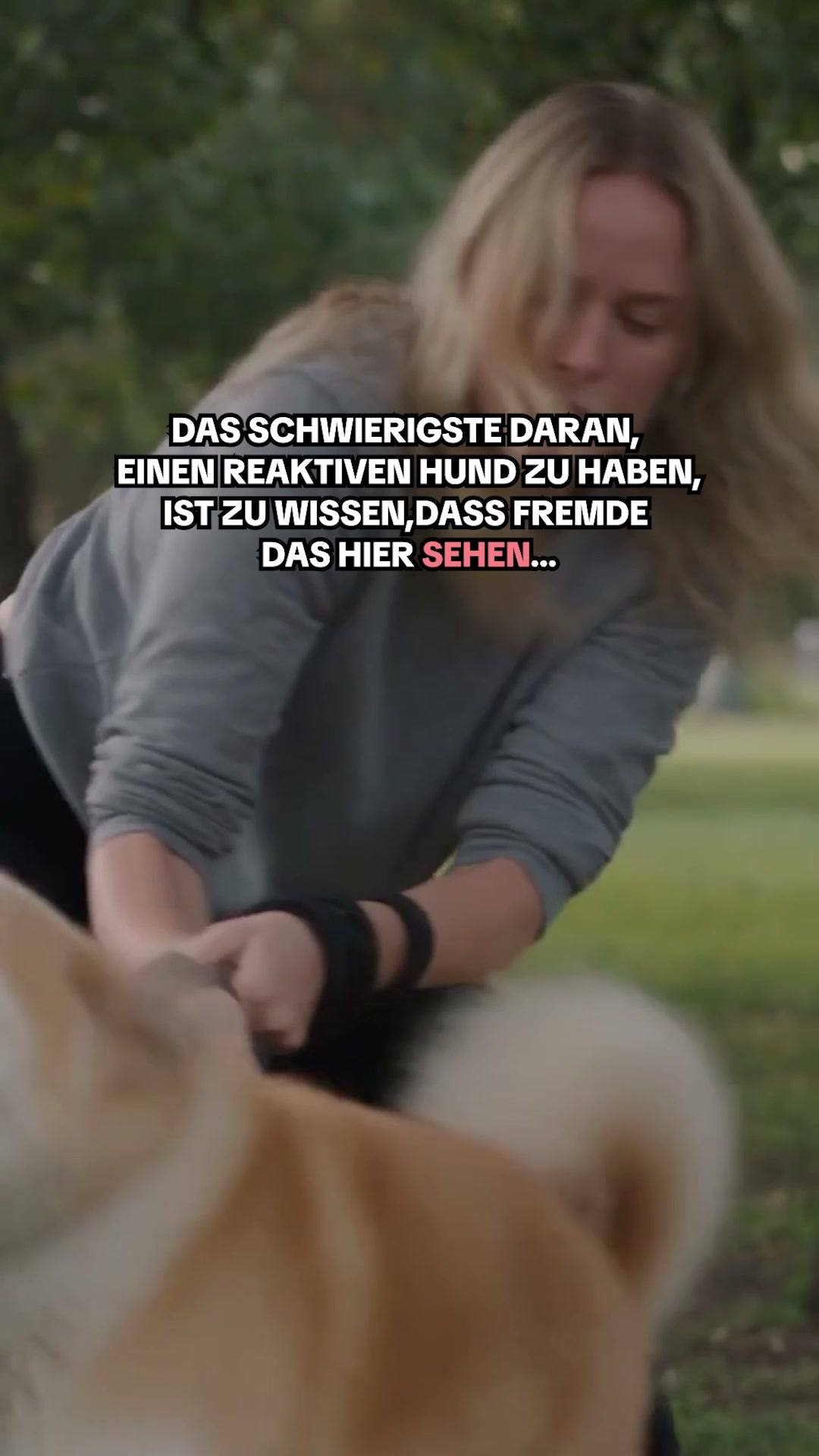 70 % RABATT + KOSTENLOSER Versand