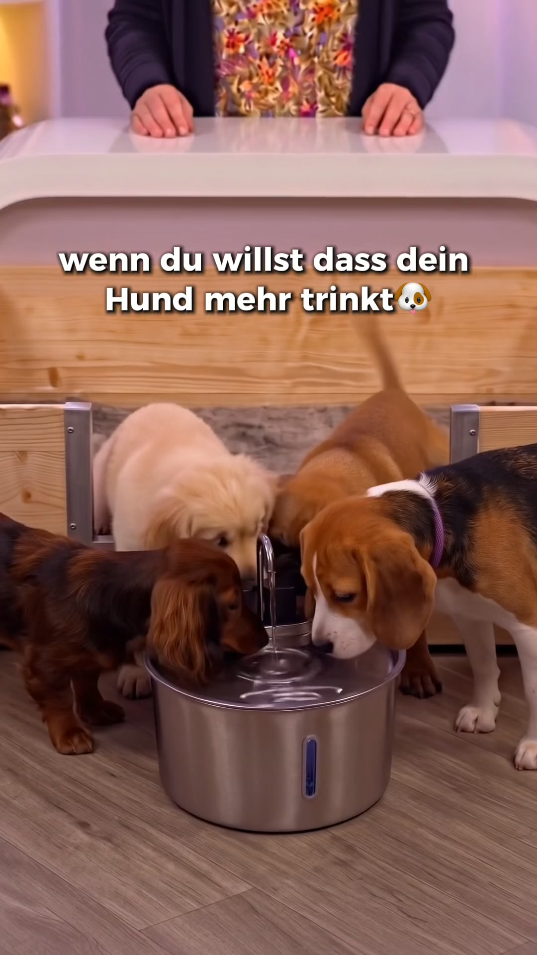 Verdient dein Hund nicht das Beste?