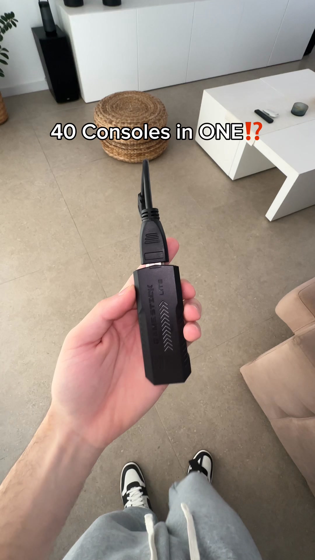 40+ Classic Consoles in One