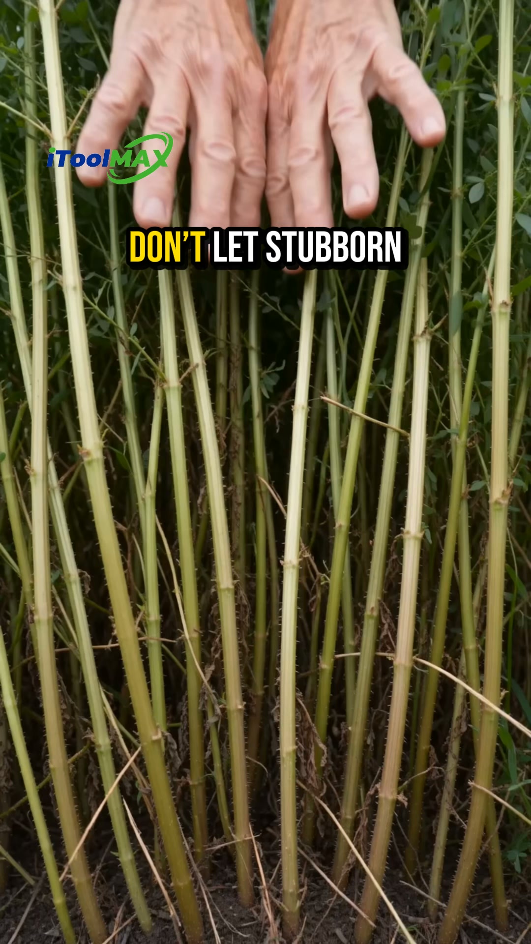 41% OFF – Conquer Stubborn Weeds Fast