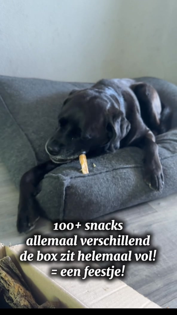 Meer dan 100 gezonde hondensnacks!