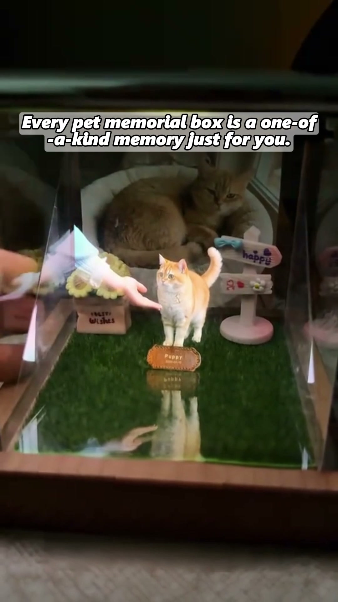 A Personalized Digital Pet House