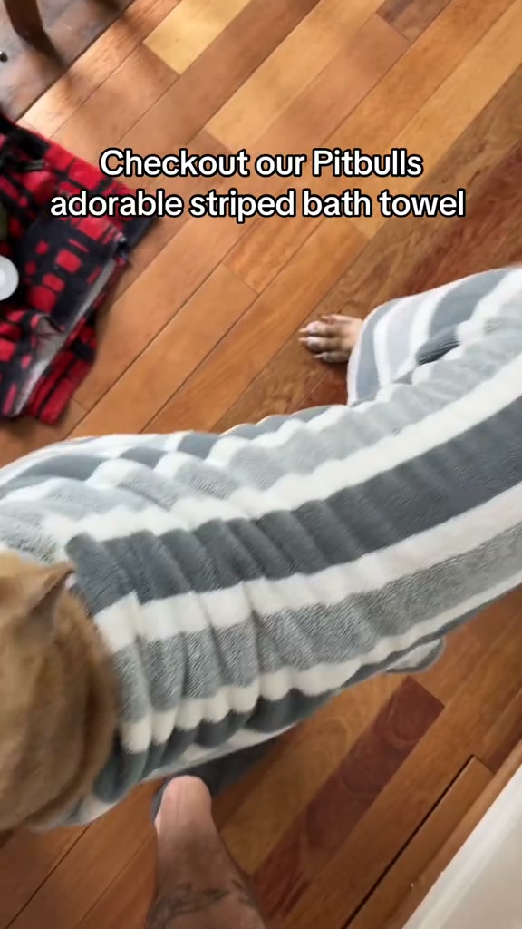 Wet Dog? Problem Solved.
