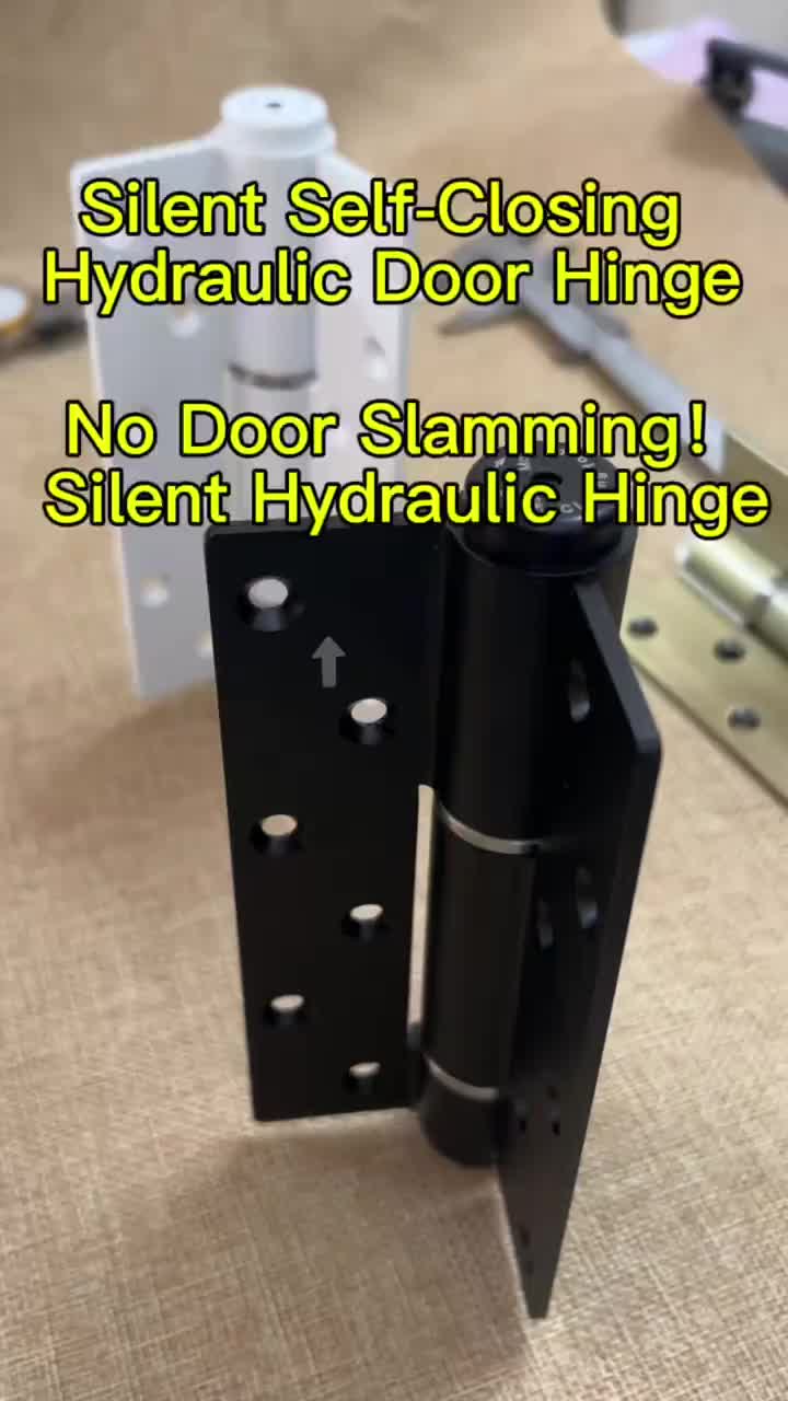 Invisible Door Hydraulic Hinge