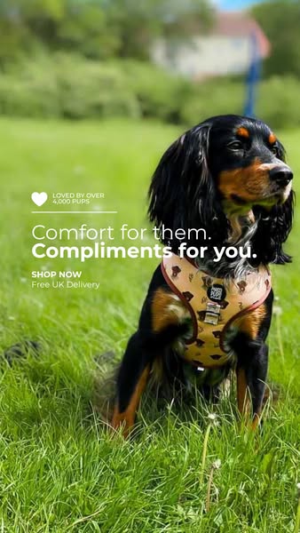 Comfort for Them. Compliments for You.