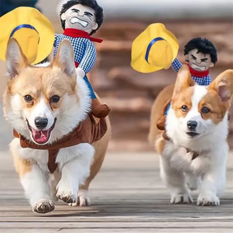 Your Dog. A Tiny Cowboy. Chaos