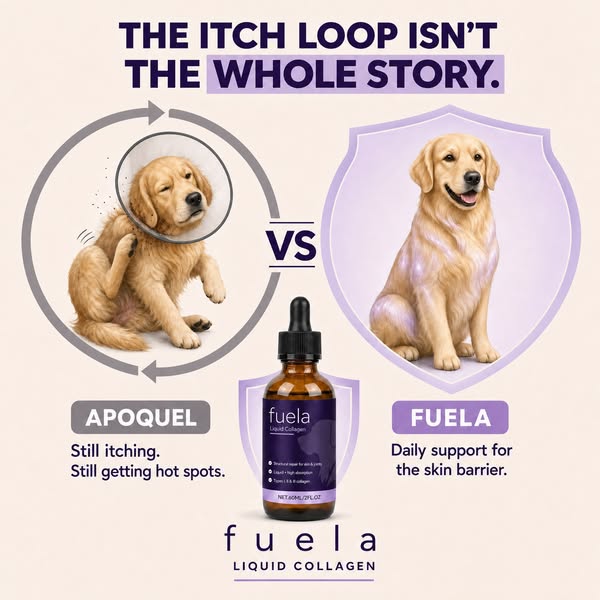 Fuela Premium Liquid Collagen