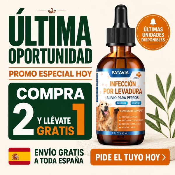 Compra 2 y llevate 1 Gratis