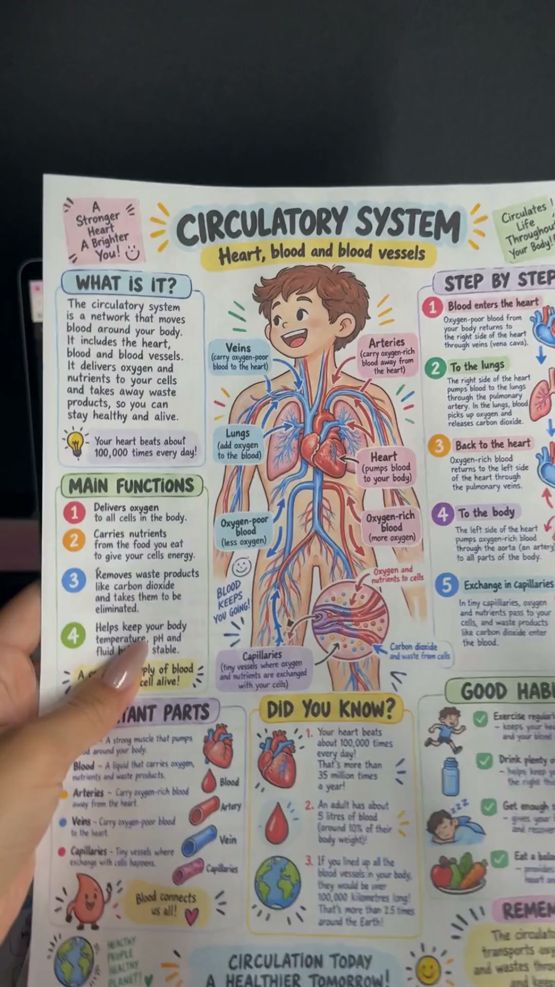 Help Your Students Understand Science More Visually with +200 Illustrated Visual Diagrams