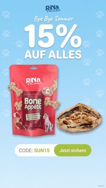Das Beste für deinen Hund entdecken!