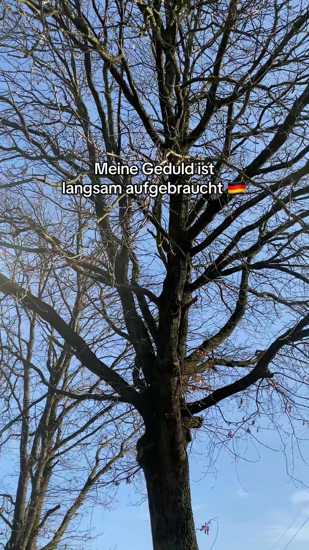 Jetzt 2+1 gratis im Valentinstags-Angebot
