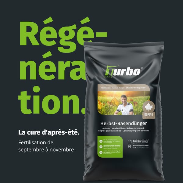 Sauver son gazon après l'été