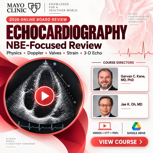 Structured Echocardiography Review 2026